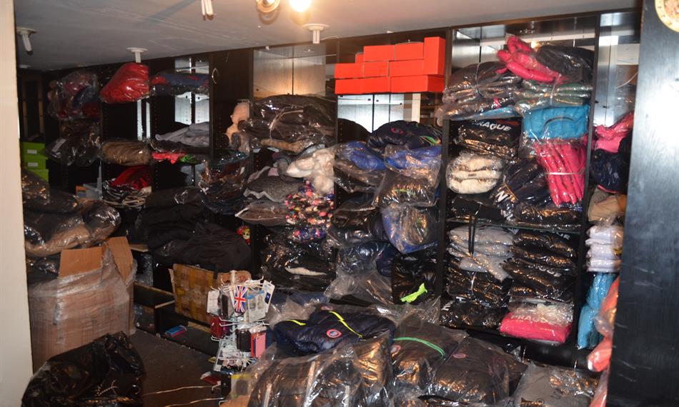 2014-11-20-137Canadian Goose 4.JPG